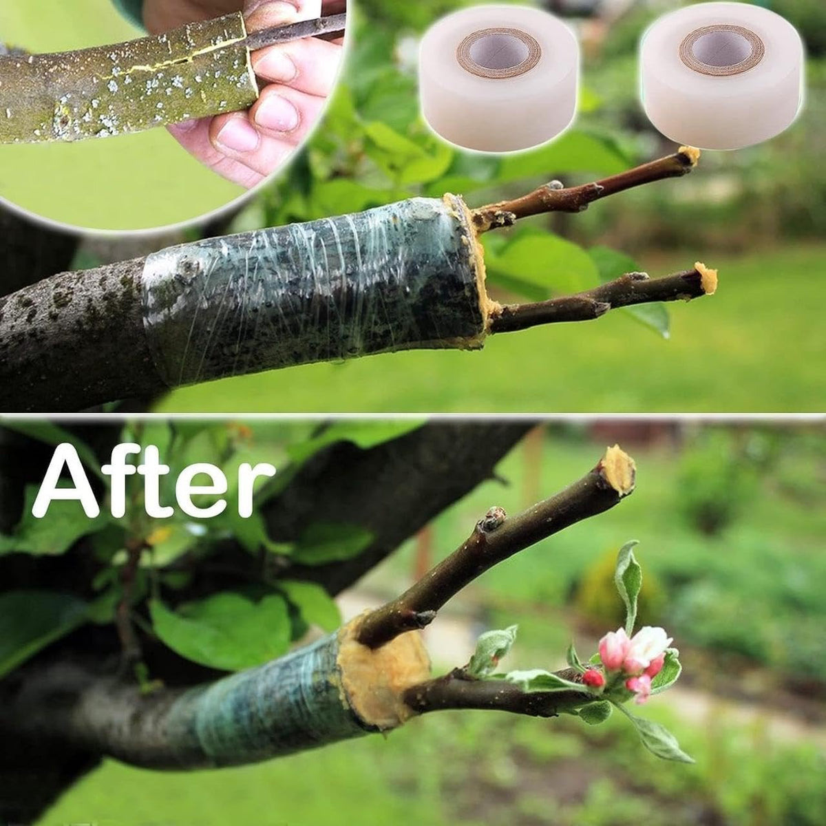 care plus care Grafting Tape