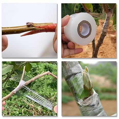 care plus care Grafting Tape