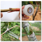 care plus care Grafting Tape