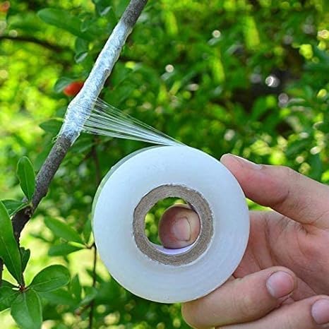 Care Plus Care Grafting Tape 1 Inch x 100m | Kerala Garden Mart