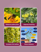 Godrej Agrovet Double product detail image