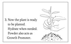 Capilar rooting hormone product detail image