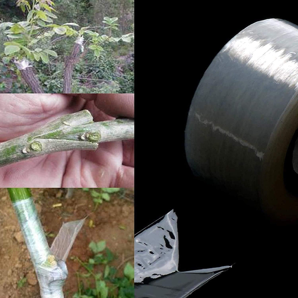 Grafting tape detail image